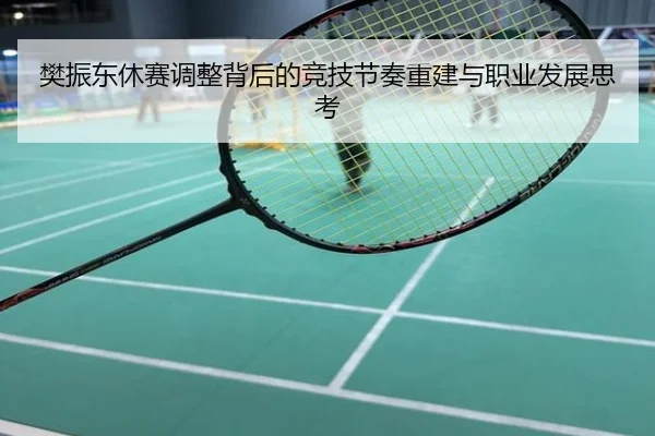 樊振东休赛调整背后的竞技节奏重建与职业发展思考